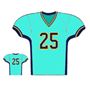 Picture of Foorball Jersey Style 301 Custom Classic Line