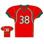 Picture of Foorball Jersey Style 325 Custom Elite Line