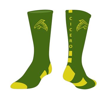 Picture of Sport Socks CIC 930 Custom