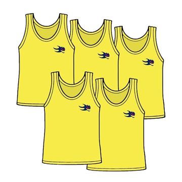 Picture of Package of 5 Adult Size Pinnies Style 905S 