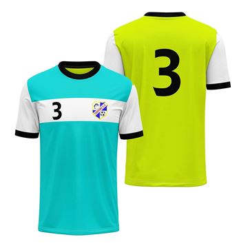 Picture of Soccer Reversible Jersey TSC 109JR Custom