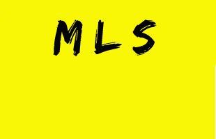 Picture for category M L S 