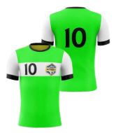 Picture of Custom Made Soccer Game Uniform Jersey with Team Logo and Player Numbers. Style 109J.