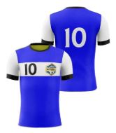 Picture of Custom Made Soccer Game Uniform Jersey with Team Logo and Player Numbers. Style 109J.