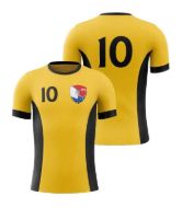 Picture of Custom Made Soccer Game Uniform Jersey with Team Logo and Player Numbers. Style 103J.