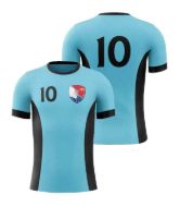 Picture of Custom Made Soccer Game Uniform Jersey with Team Logo and Player Numbers. Style 103J.