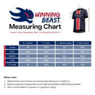 Picture of PARIS 2024-25 Soccer Jersey