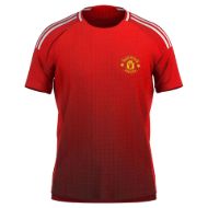 Picture of MANCHESTER 2024-25 Soccer Jersey