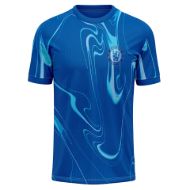 Picture of 2024/25 The Blues Soccer Jersey - Lightweight Fabric for Comfort, Unisex Fit & Smart Details - Home Colors