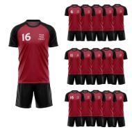 Picture of Lot of 15 Unisex Soccer Apparel (Jersey and Shorts) Custom Made for You in Any Ten Sizes with Numbers and Logo. Style 218