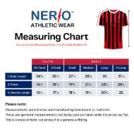 Picture of 2024-25 Milano Home Color Soccer Jersey.