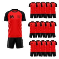 Picture of Lot of 15 Soccer Uniforms (Jersey and Shorts) Style N218SK-Special Custom Made.